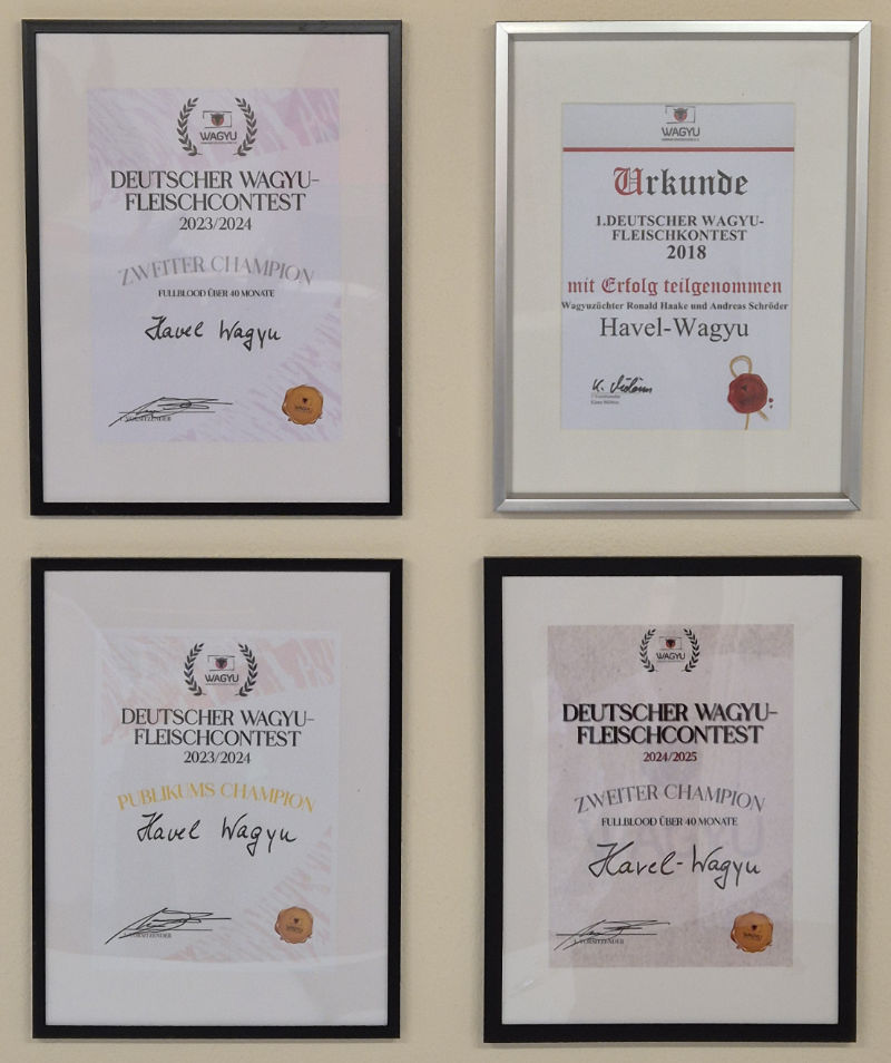Urkunden Fleisch Contests Urkunden Fleisch Contests